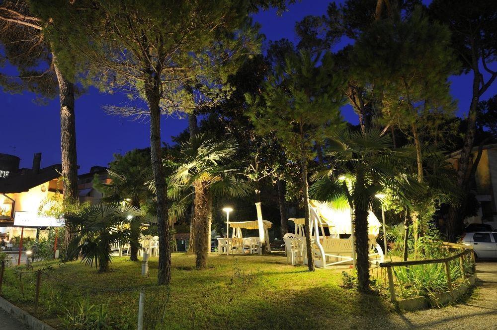 Mimosa Lignano Sabbiadoro